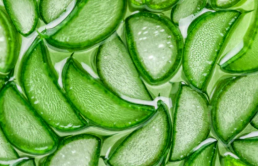 Aloe vera
